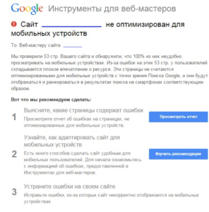 seo новости